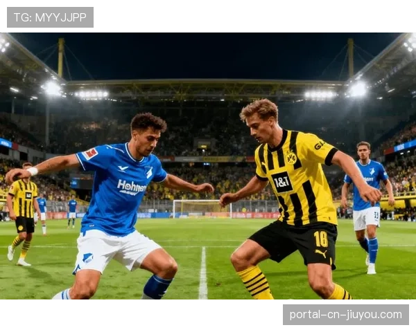 多家媒体报道，霍芬海姆中场球星拜尔已与多特蒙德达成夏季转会协议